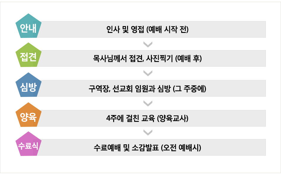 �ȳ�-����-�ɹ�-����-�����